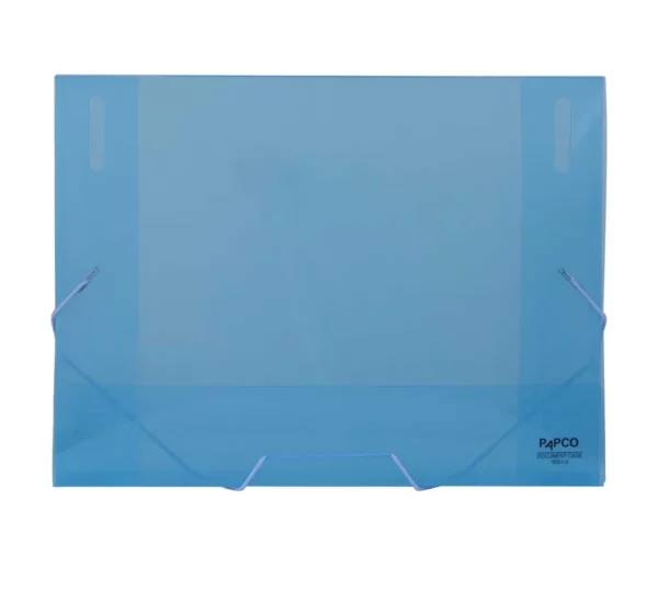 Transparent elastic document bag